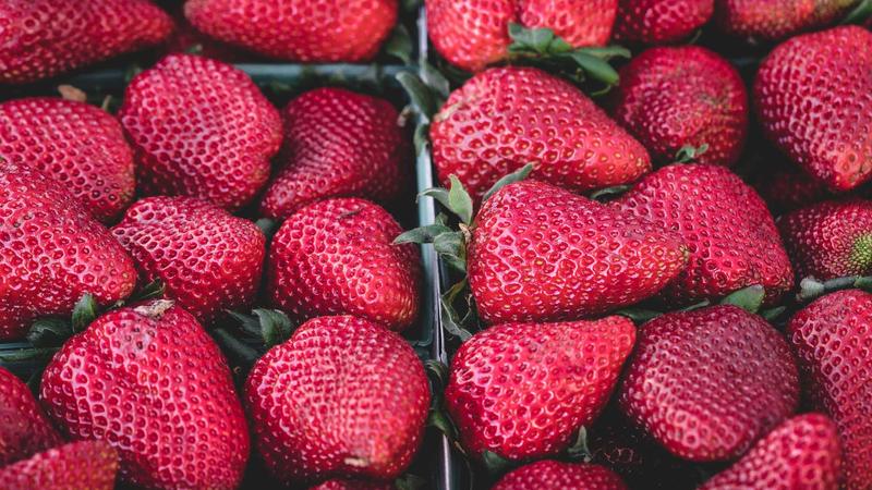 天堂禁漫成功案例展示 - 星穹纪元系列